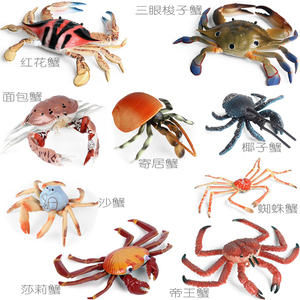 硬塑料仿真螃蟹玩具寄居蟹模型三点梭子蟹莎莉红花蟹帝王蜘蛛蟹