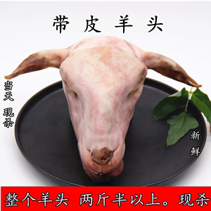 新鲜带皮羊头 生羊头 整只羊头生鲜  羊头肉  现杀 包邮