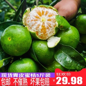 橘子新鲜现摘青皮蜜橘酸橘子早熟甜柑橘无籽桔子孕妇应季水果5斤