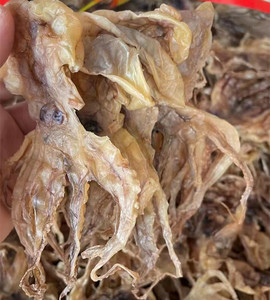 湛江特产野生章鱼干淡干八爪鱼煲汤下奶500g海鲜干货孕妇宝妈选择