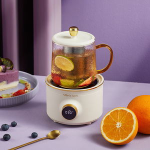 小型养生杯电炖杯迷你加热水杯煮茶煮粥杯便携式热牛奶办公室神器