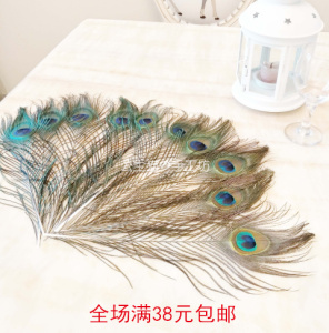 孔雀毛1根 天然羽毛 25cm长2-3眼睛 手工 diy 饰品 逗猫棒