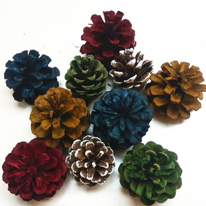 干松果自然材料创意diy低结构装饰配件区角活动圣诞节手工制作