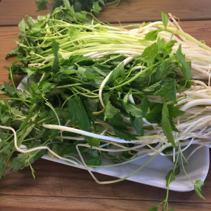 安徽无为特产新鲜蔬菜无为芹芽青芽绿杆芹菜当天现挖发货一份包邮