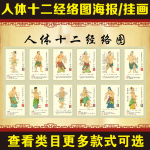 的24堂课 刘峰主编十二正经十二经别奇经八脉气街四海 中医针灸学书籍