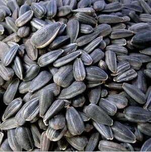 2021年新货油葵黑珍珠小而香瓜子五香奶油500克葵花籽散装