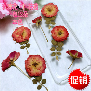 玫瑰花 玫瑰叶 玫瑰花苞 押花diy手工花材植物教学干花标本滴胶