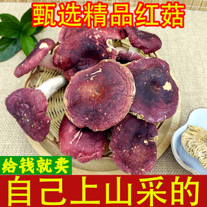 正宗野生红菇干货特产野生红蘑菇菌菇包红菇红椎菌非福建云南广西