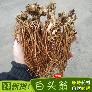 东北野生中草药材白头翁毛猫骨朵花根野丈人胡王使者白头公500g克