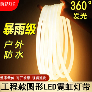 led霓虹灯带户外防水360度发光圆形rgb灯条缠树高压柔性硅胶灯带