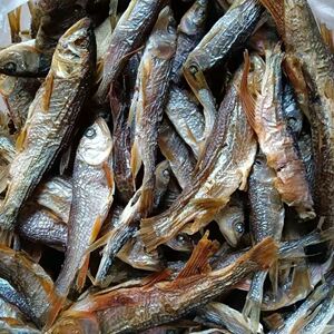 江西新鲜水产小鱼干干货淡水散装小溪马口鱼桃花鱼小河鱼溪哥去肚