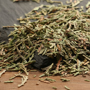 侧柏叶包邮野生乌发新鲜晒干生黑发增发水泡酒中药材洗发扁柏防脱