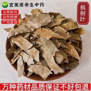 枫树叶干500克野生枫树叶枫树叶子新鲜枫树叶月子产后洗头澡包邮