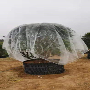 包邮杨梅 水果树罩网 樱桃防鸟网 防虫网 防鸟网 防风网 40目网罩