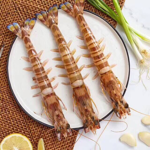 野生九节虾竹节虾斑节虾超大虾花尾虾海虾鲜活虾5-10只一斤特大