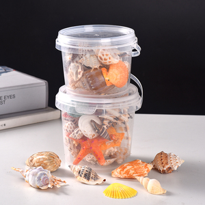 天然贝壳小海螺海星密封罐桶装diy装饰摆件科教幼儿园礼物鱼缸造