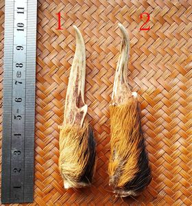 麂子角挂件