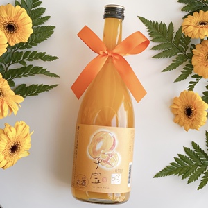 【热带浓郁香甜】日本进口楯野川子宝芒果酒 女生低度水果酒甜酒