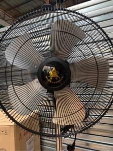 正宗柳州双马牌落地扇复古风扇纯铜电机复古落地扇吊扇