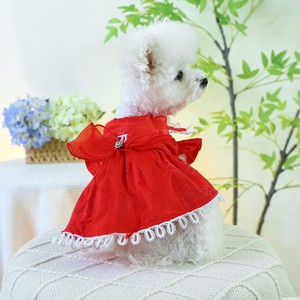 【大红镂空裙】宠物衣服狗狗裙子泰迪比熊猫咪春夏薄款公主裙
