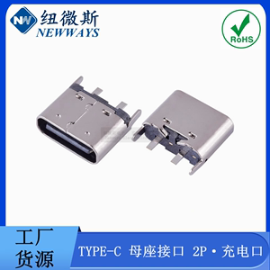 TYPE-C 2P 卧式立式直插母座 90度两脚插板简易型USB快充充电接口