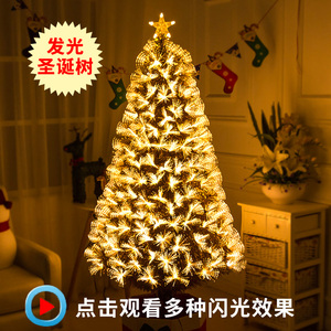 光纤圣诞树套餐高级发光树光纤树金色定制圣诞节大型3m发光圣诞树