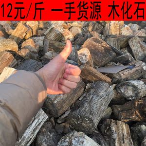 12元一斤马达加斯加天然木化石树化玉大摆件古生物化石标本
