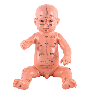 小儿推拿穴位模型宝宝模型儿童人体穴位图全身反射区经络月嫂培训