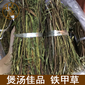 农家自晒野生中药材新货软肝草铁甲草益肝草肝草煲汤草材料500g