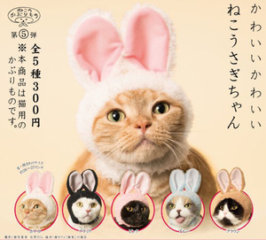 现货 日本正版 奇谭 猫咪专属头巾 兔耳帽子 猫装饰头套 扭蛋