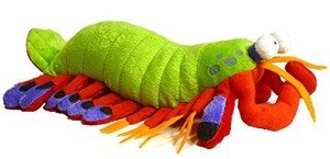 （现货+包邮）仿真孔雀尾螳螂虾皮皮虾mantis shrimp毛绒玩具公仔