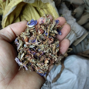 中草药新品野生无硫野葛藤花葛根花黄葛花解酒500g干益肝茶包邮