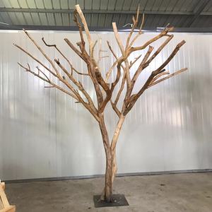 天然原木色造型枯树树干树枝装饰树杈实木展示衣帽架