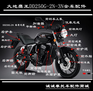 大地鹰王250摩托车配件仪表总成大灯转向灯前减震护泥后刹车上泵