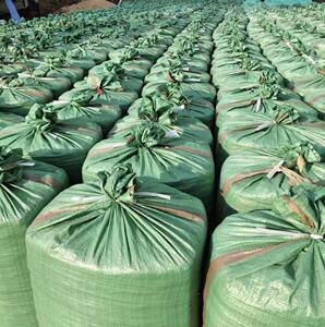 青储玉米秸杆牛羊发酵饲料 新鲜牛羊草料 鲜草压块120斤