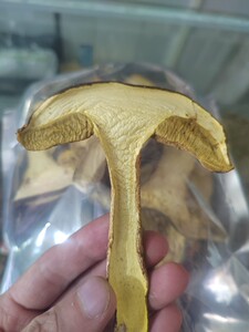 野生黄牛肝菌乔巴菌干片食用菌新货250克袋装优质煲汤美味土特产