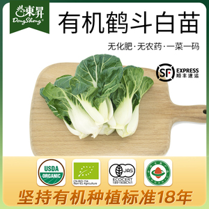 东升农场 有机鹤斗白苗 矮脚奶白菜苗 广州供港新鲜蔬菜配送250g