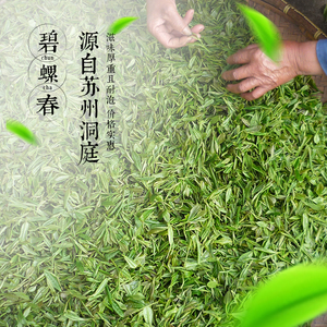 林山园茶业总店淘宝日照绿茶2023新茶草青茶叶崂山绿茶炒青碧螺春