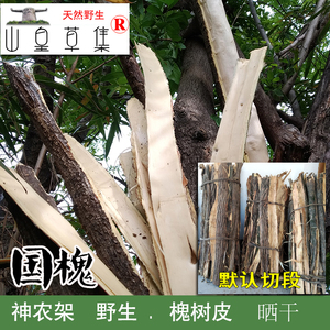 野生槐树皮有槐白皮国槐家槐可打粉药引子熏洗坐月子250克2件包邮
