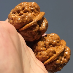 金蟾疙瘩包名款云南野生铁核桃