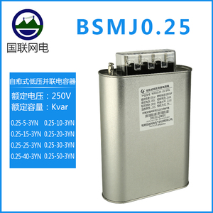 BSMJ0.25自愈式低压并联电力电容器无功补偿滤波功率250V厂家直销