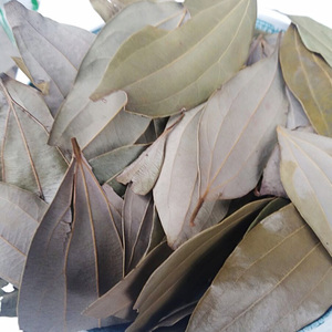 湖南新化土特产绿色天然野生调味料鱼香叶干货火锅佐料香料500克