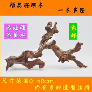 树桩沉木天然