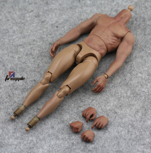 1/6 兵人 素体 肌肉素体 手臂包胶 剑齿虎套装拆卖 瑕疵染色处理