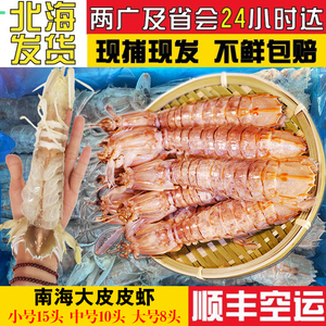 北海超大皮皮虾6-15头大虾特大鲜活蒸熟濑尿虾海虾爬爬虾优质水产