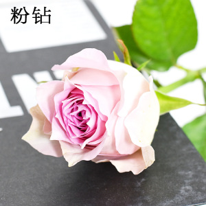 粉钻鲜切花
