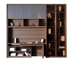 楷模定制多功能巴赫书柜