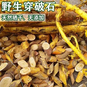 广西野生穿破石根铁牛入石九层皮黄蛇根黄龙蜕壳