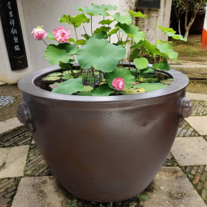 景德镇陶瓷大缸养鱼缸仿古大水缸锦鲤荷花睡莲招财室外庭院种树缸