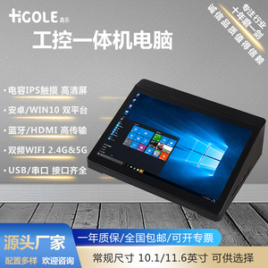 嗨高乐 工控一体机平板电脑10.1寸windows安卓小主机带串口RS-232